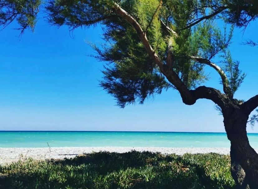 Appartamento Magnifico Piso Con Vistas Al Mar En Moncofa Moncófar Esterno foto